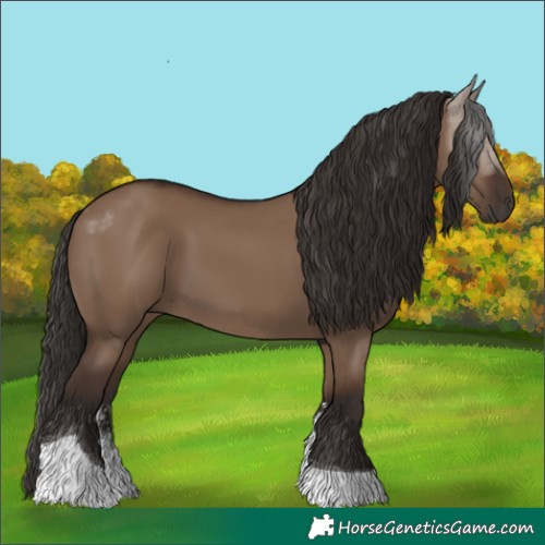 Horse Color:Liver Red Dun Sabino Tobiano 