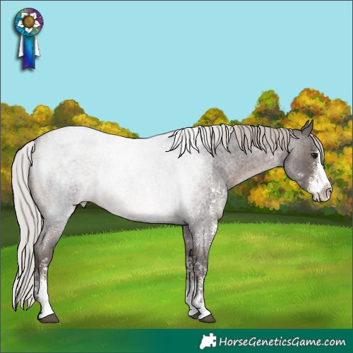 Horse Color:Silver Brown Roan Sabino 