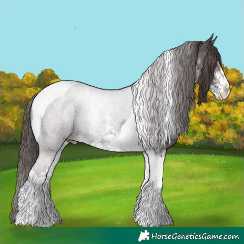 Horse Color:Liver Chestnut Sabino Tobiano 