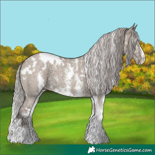 Horse Color:White Spotted Silver Grullo Sabino