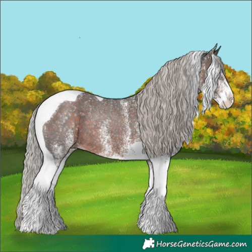 Horse Color:White Spotted Silver Brown Tobiano Rabicano