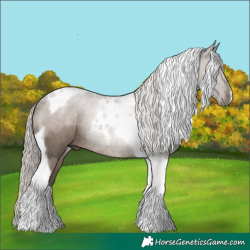 Horse Color:Silver Grullo Tobiano Rabicano 