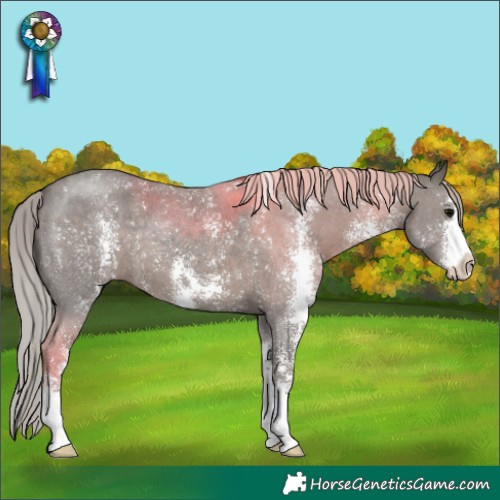 Horse Color:Silver Black Sabino