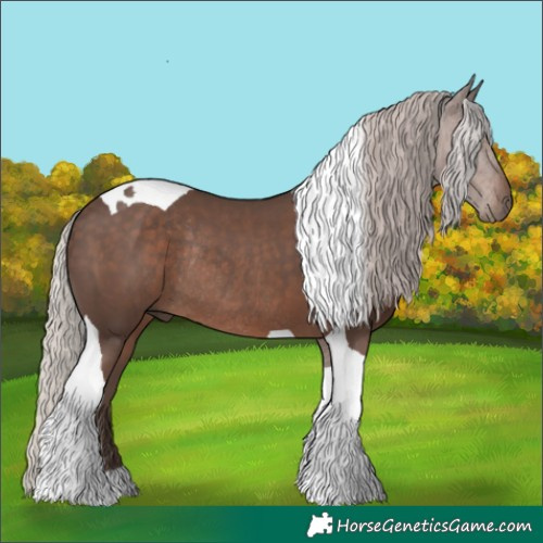Horse Color:Silver Black Tobiano Rabicano 