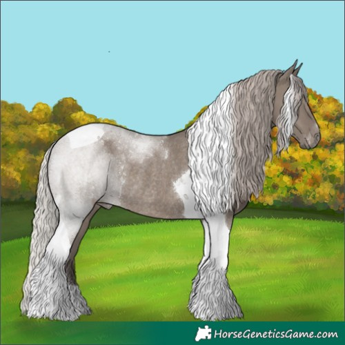 Horse Color:Silver Grullo Tobiano Rabicano 