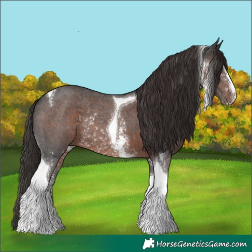 Horse Color:Liver Chestnut Sabino Tobiano Rabicano