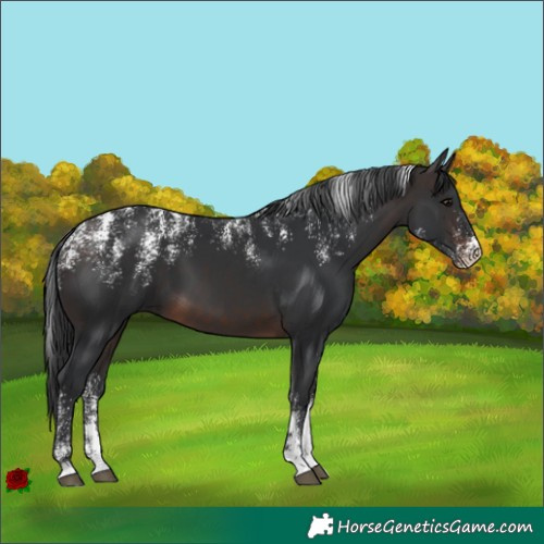Horse Color:Powder White Brown