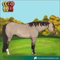 Horse Color:Brown Dun