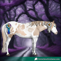 Horse Color:Liver Red Dun Pearl Splash Tobiano Appaloosa Rabicano 