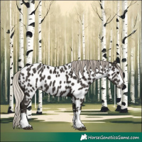 Horse Color:Gray Silver Black Appaloosa