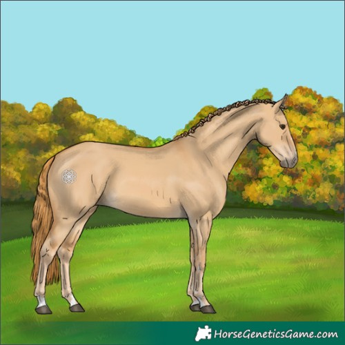 Horse Color:Red Dun