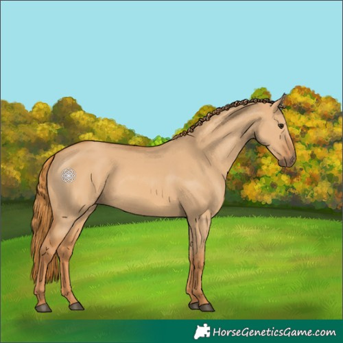 Horse Color:Red Dun 