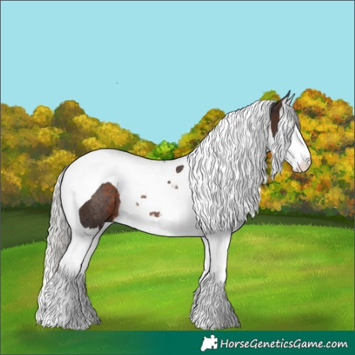 Horse Color:Silver Brown Splash Tobiano Rabicano