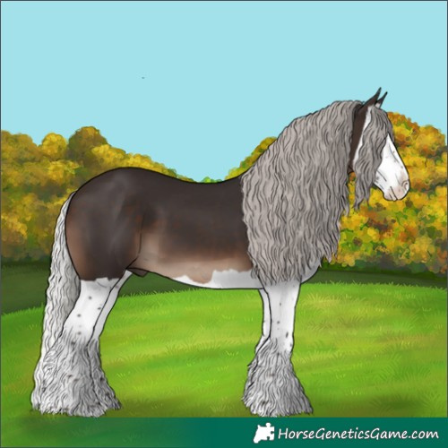 Horse Color:Silver Brown Splash