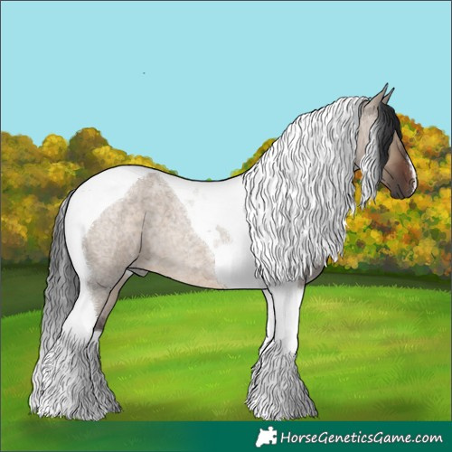 Horse Color:Brown Roan Dun Tobiano