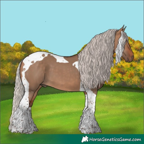 Horse Color:Silver Bay Dun Tobiano 