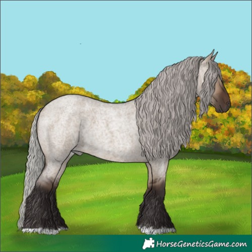 Horse Color:Silver Brown Roan Dun 