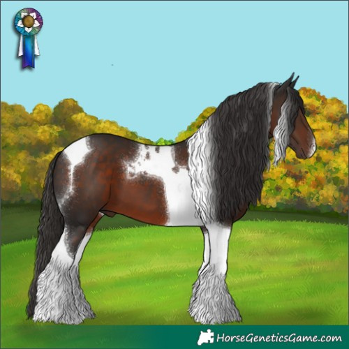 Horse Color:Liver Chestnut Tobiano 