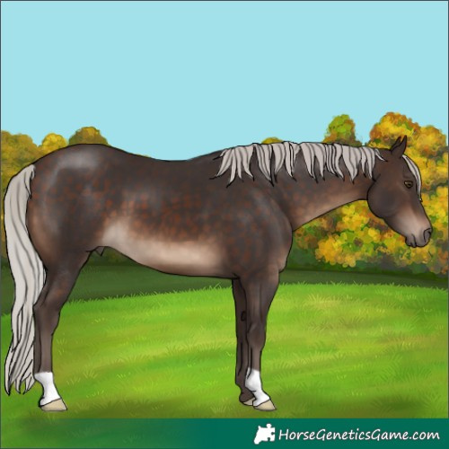 Horse Color:Silver Brown