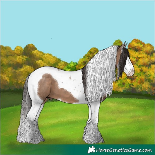 Horse Color:Liver Red Dun Splash Tobiano 