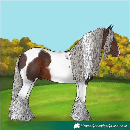Horse Color:Silver Brown Tobiano