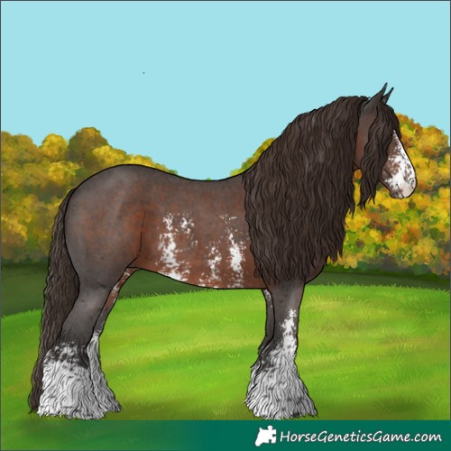 Horse Color:Liver Chestnut Sabino 
