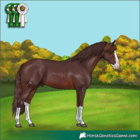 Horse Color:Chocolate Brown Mushroom Splash