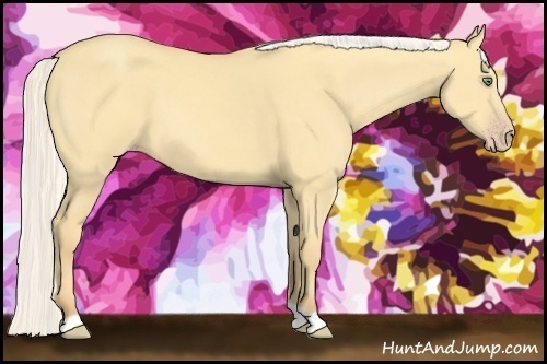 Horse Color:Silver Amber Cream Champagne Dun 