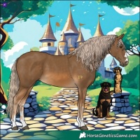 Horse Color:Chocolate Palomino 