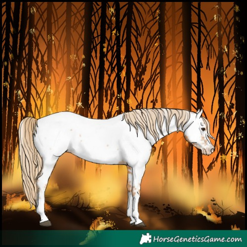 Horse Color:Chestnut Near Fewspot