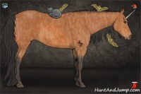 Horse Color:Bay  Brindle