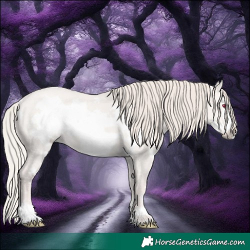 Horse Color:Silver Grullo Frame Rabicano 