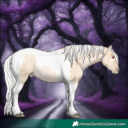 Horse Color:Silver Smoky Grullo Tobiano Rabicano