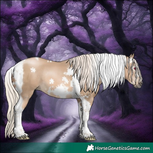 Horse Color:Gray Silver Smoky Black Tobiano Frame Rabicano