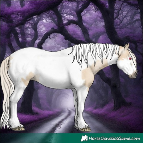 Horse Color:Gray Silver Smoky Grullo Tobiano Frame Rabicano