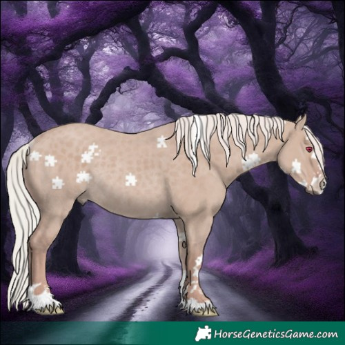 Horse Color:Silver Grullo Rabicano 