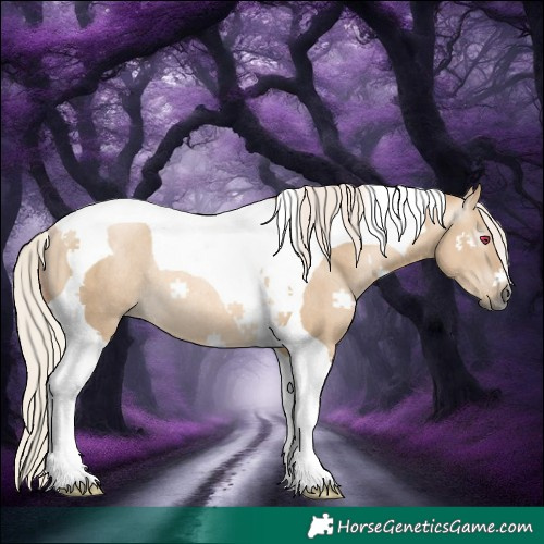Horse Color:Gray Silver Smoky Grullo Tobiano Rabicano 