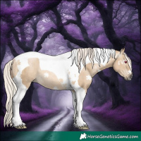 Horse Color:Gray Silver Smoky Grullo Tobiano Rabicano 