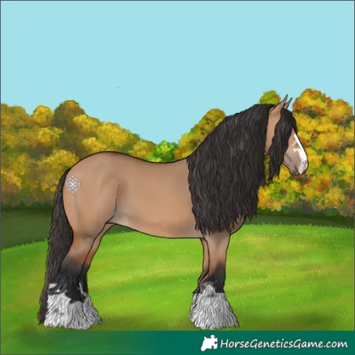 Horse Color:Bay Dun