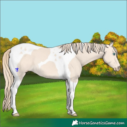 Horse Color:Perlino Tobiano