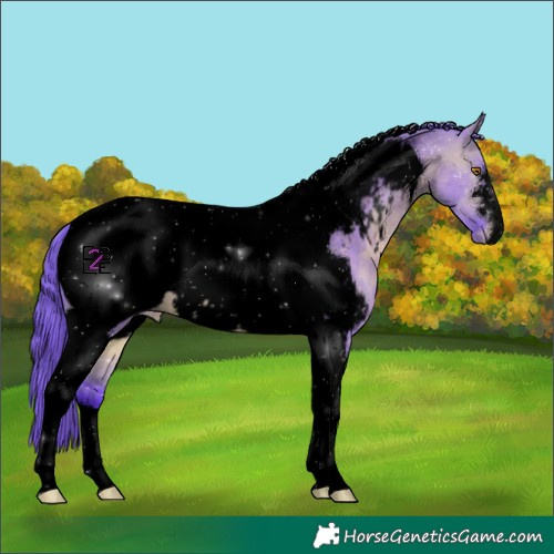 Horse Color:Void Watercolor Brown Dun Tobiano Appaloosa 