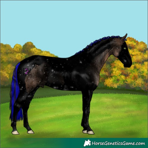 Horse Color:Void Painted Sable Champagne Splash Tobiano Appaloosa
