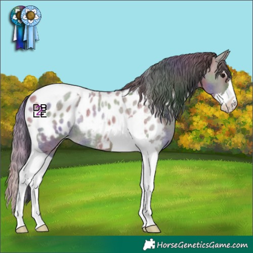 Horse Color:Nacre Grullo Roan Splash Tobiano Appaloosa Rabicano