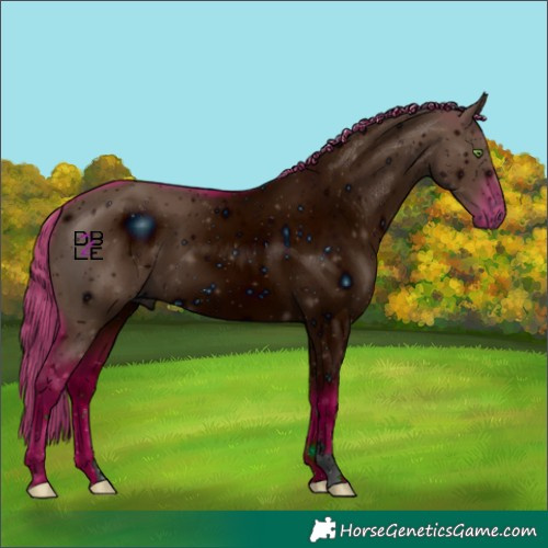 Horse Color:ERROR: UNKNOWN ANOMALY
