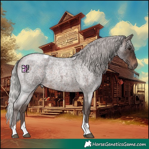 Horse Color:Silver Bay Roan Mushroom Tobiano 