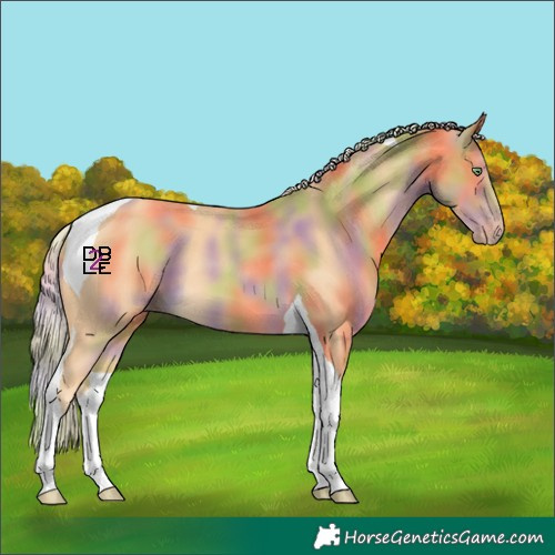 Horse Color:Nacre Gold Cream Champagne Tobiano 