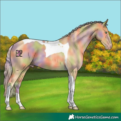 Horse Color:Nacre Gold Cream Champagne Tobiano
