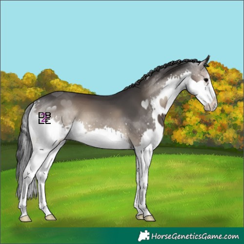 Horse Color:Blue Onyx Splash