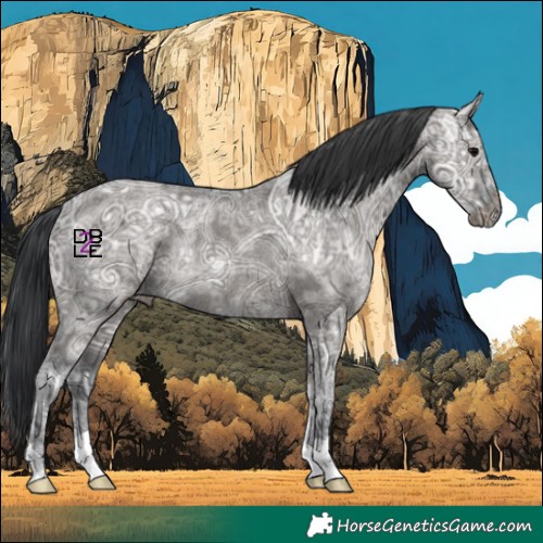 Horse Color:Grullo Ice Rabicano 
