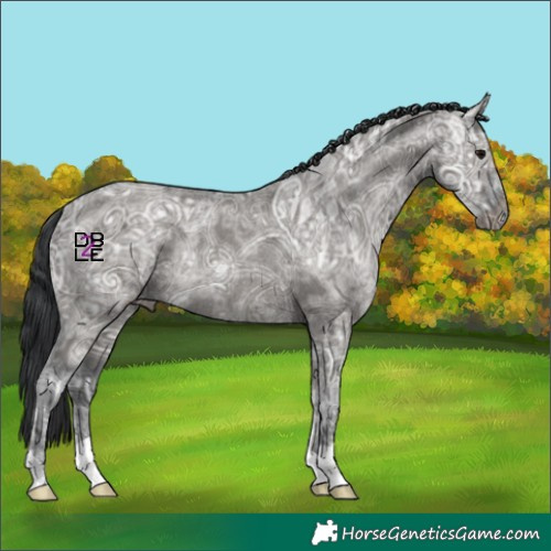 Horse Color:Grullo Ice Rabicano